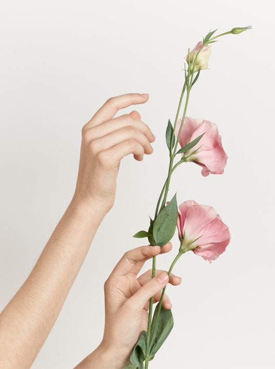 Zwei Damenhände greifen nach einem Pflanzenstiel mit rosa Blüten
